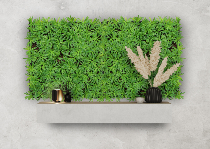Jangal Modular Wall plantepanel 52 x 52 cm - Podocarpus Tea Tree